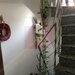 Vila Floreasca- Barbu Vacarescu..